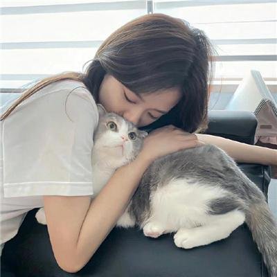 虫图腾